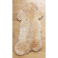 Slechte foto: sorry!