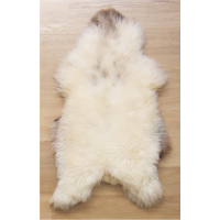 Slechte foto: sorry!