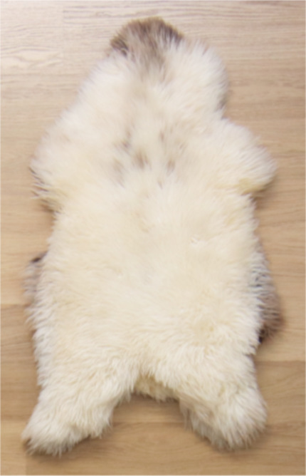 Slechte foto: sorry!