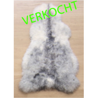 Verkocht
