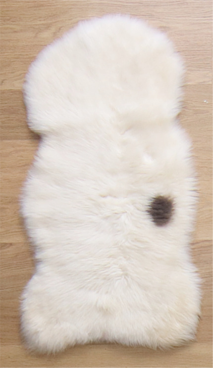 Hoge aaibaarheidsfactor