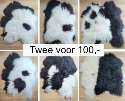 TWEE VACHTEN