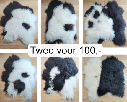 TWEE VACHTEN