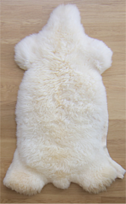 Mega Texelaar