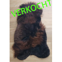 Verkocht