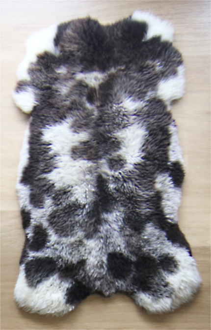 Natuurlijk woonkleed