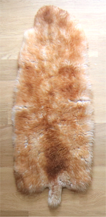 Net een echte Moeflon