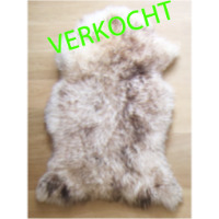 Verkocht