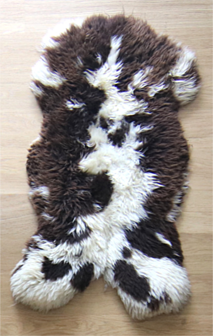 Vrolijke Jacobsvacht