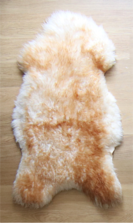 Net een echte Moeflon