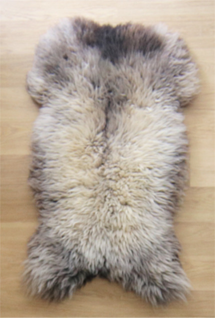 Z&eacute;&eacute;r volle vacht