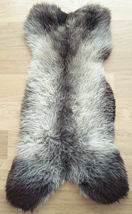 Voor uw hond?