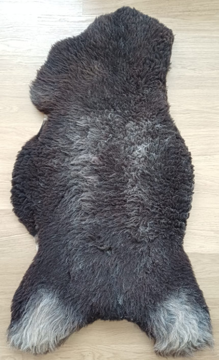 Voor uw hond?
