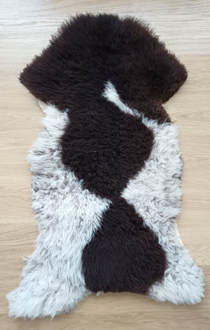 Voor uw hond?