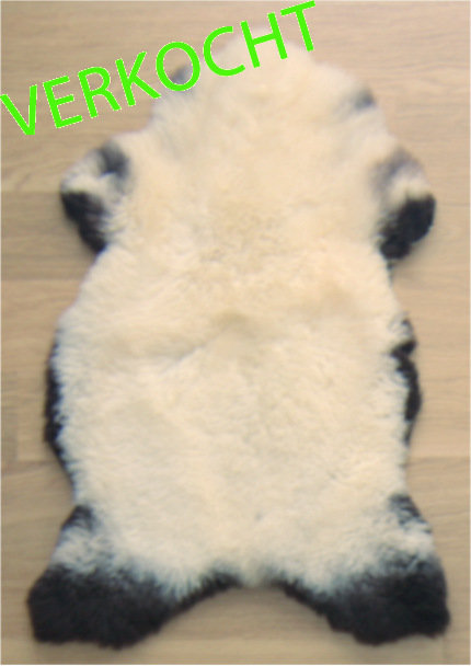 verkocht