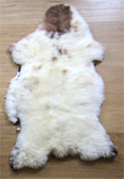 Slechte foto! Sorry!