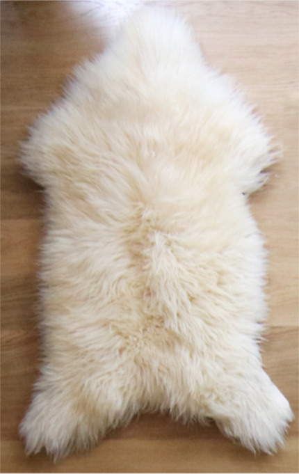 Slechte foto - sorry!