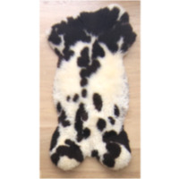 Vrolijke Jacobsvacht