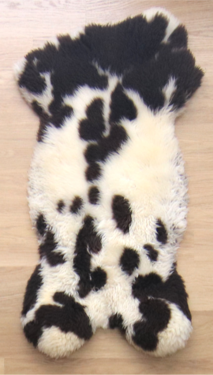 Vrolijke Jacobsvacht