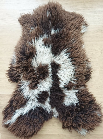 Voor uw hond?