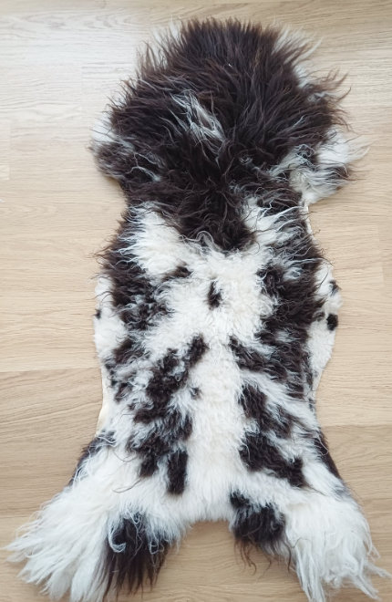 Voor uw hond?