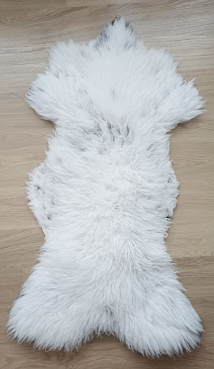 Voor uw hond?