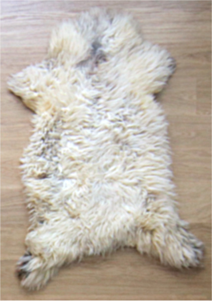 Slechte foto: SORRY!