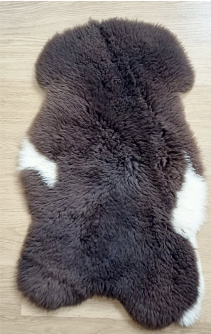 Voor uw hond?