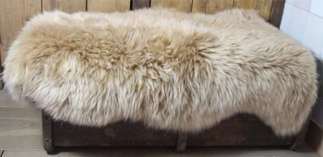 Schapenvacht camel