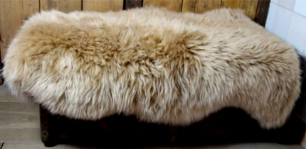 Schapenvacht camel