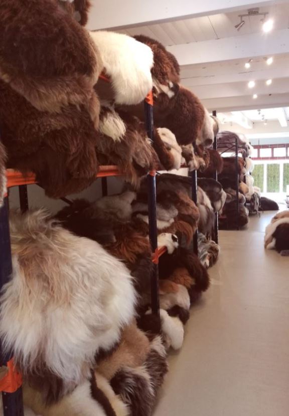 Winkel vol schapenvachten - Midddelstum