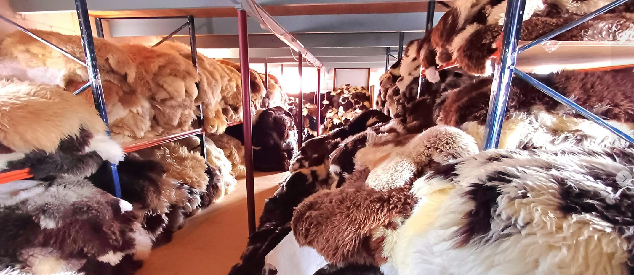 Pakket schapenvachten