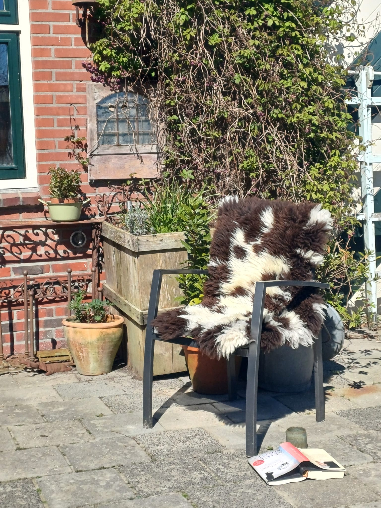 schapenvacht verkoelend in de zomer
