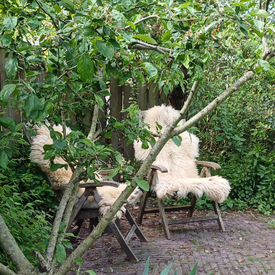 Schapenvachten op tuinstoelen