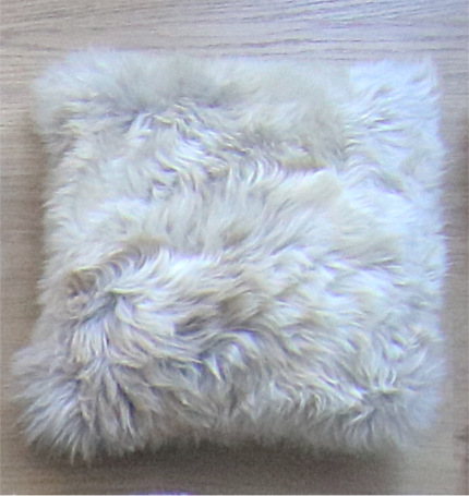 Hoge aaibaarheidsfactor